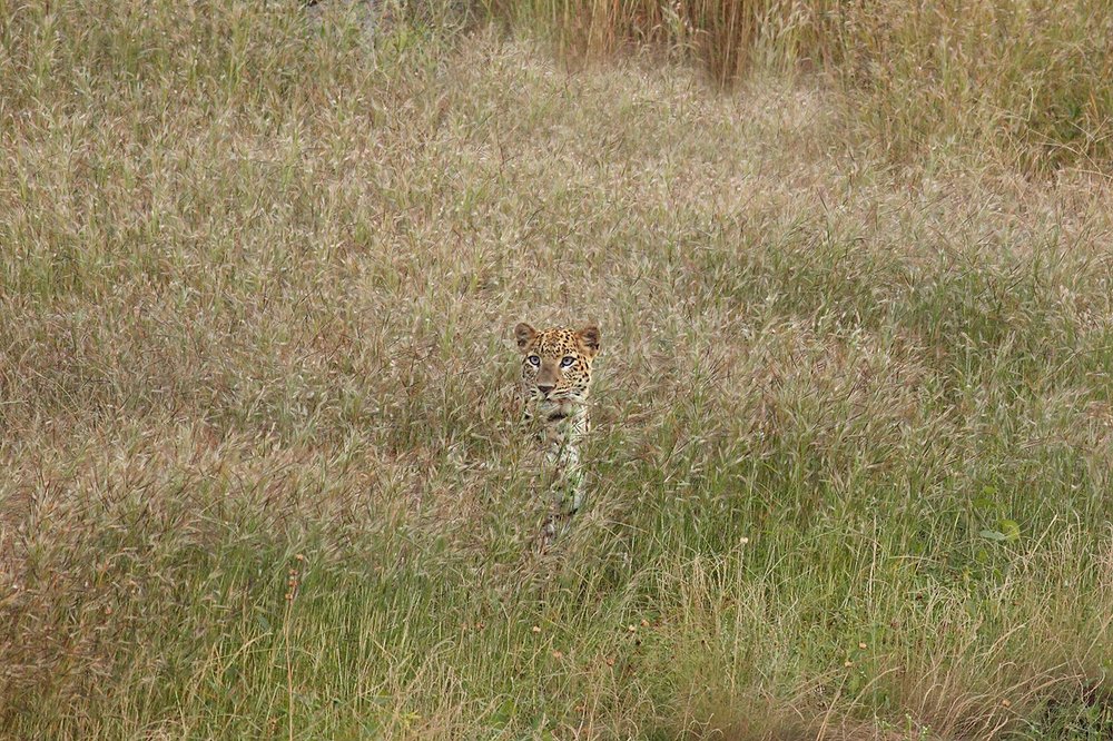 Photograph by Manish Arya