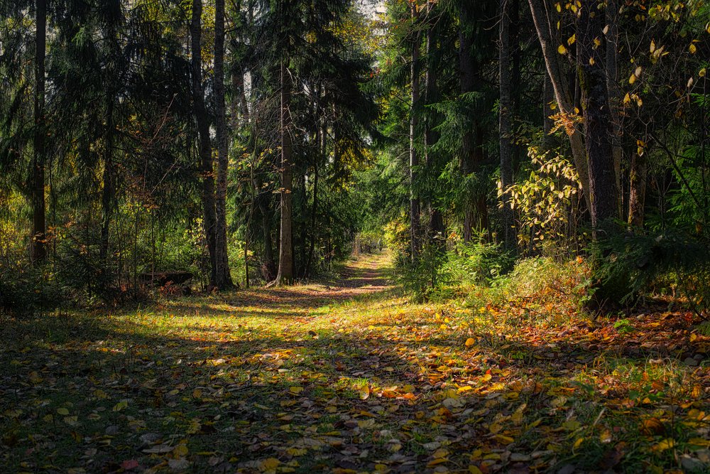 Photograph by Василий Речевский