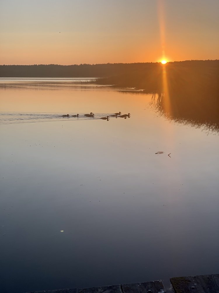 Photograph by Николай Курочкин