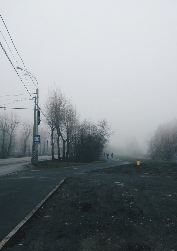 Photograph by Дмитрий Стрельцов