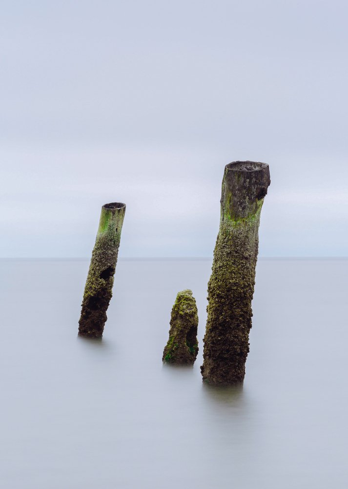 Photograph by Hamid musavi