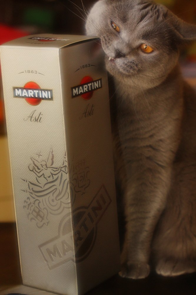 Photograph by Константин Лагоденко