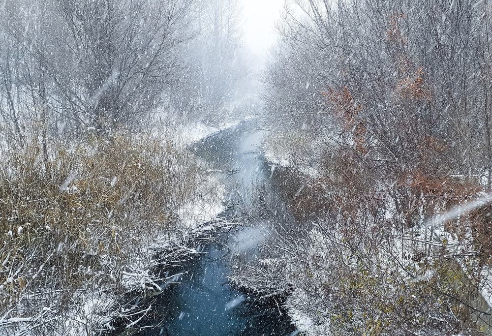 Photograph by Чмырев Роман Васильевич