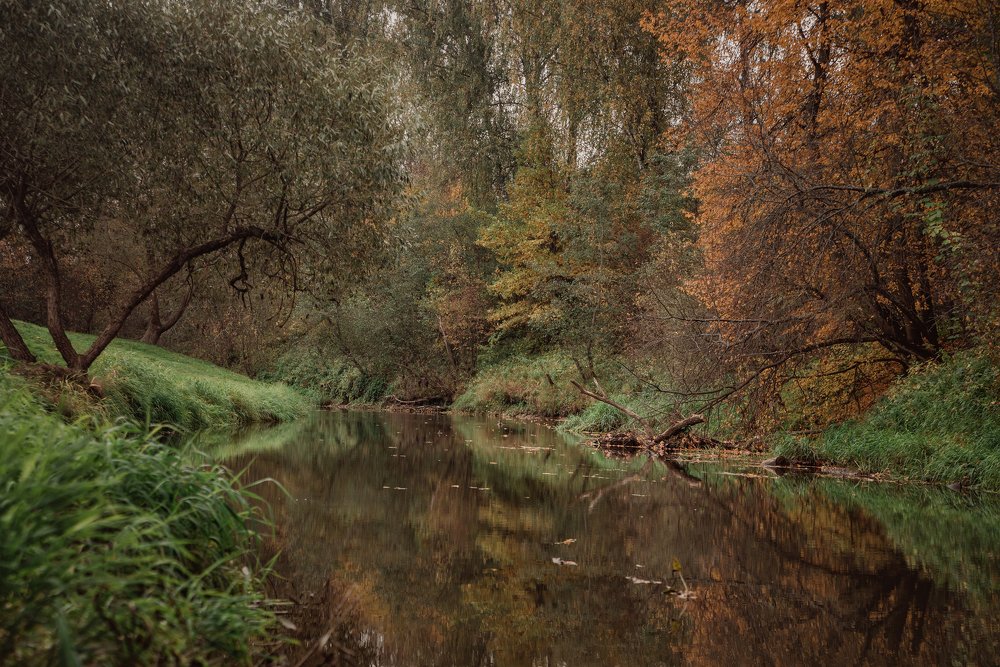 Photograph by Валентина Козлова