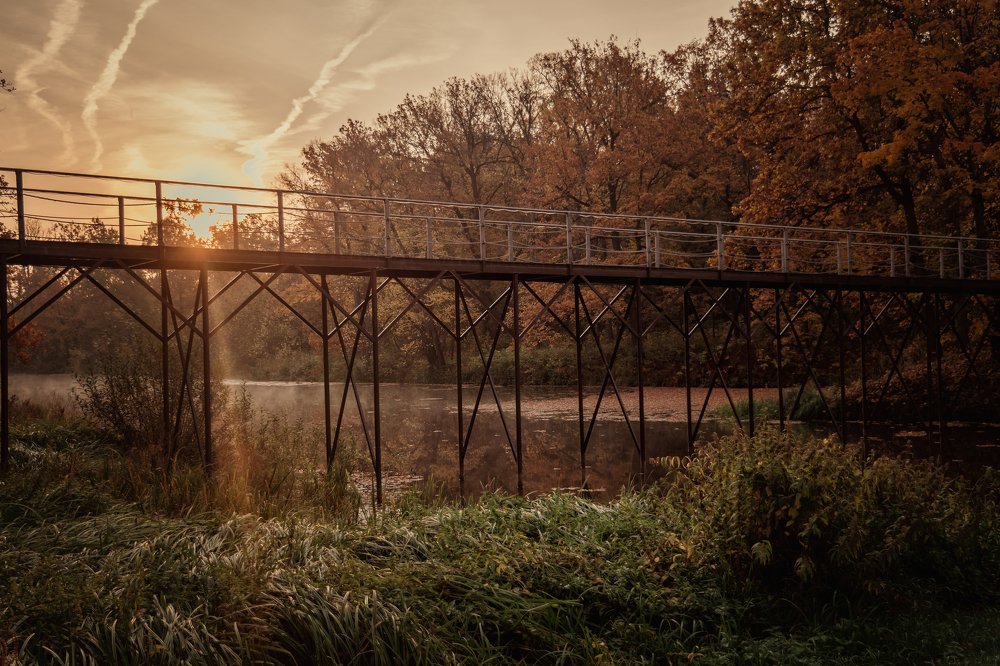 Photograph by Валентина Козлова
