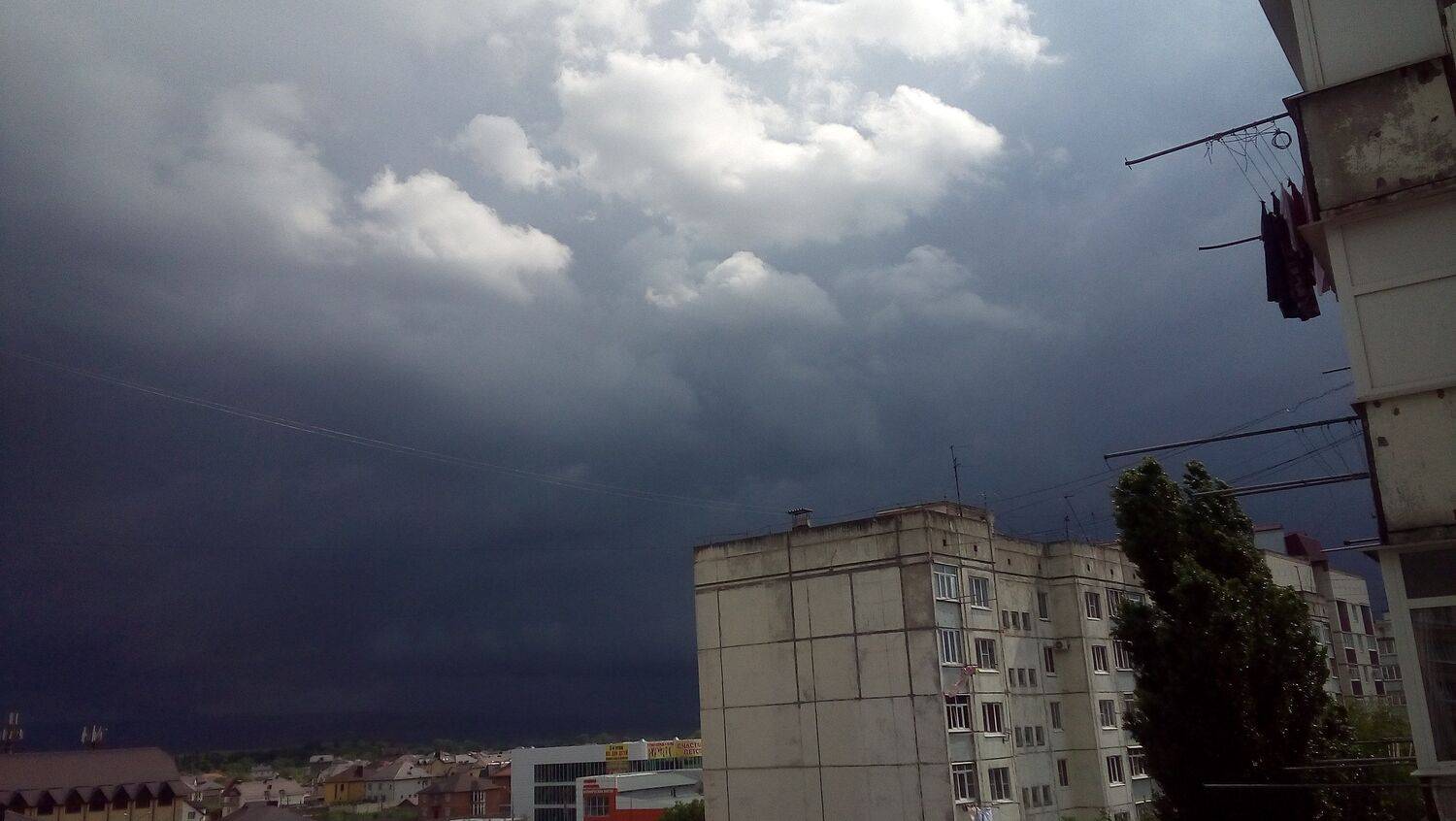 Photo #5265650