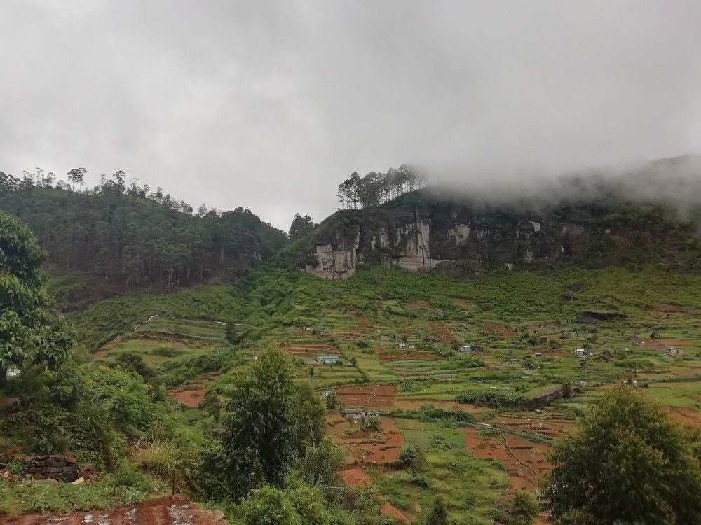 Photo #5265675