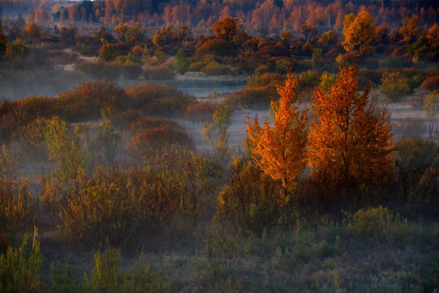 Осень. Утро.
