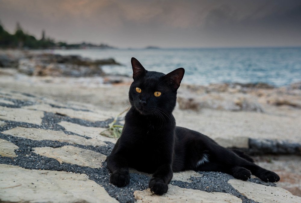 Photograph by Karen Khachaturyants