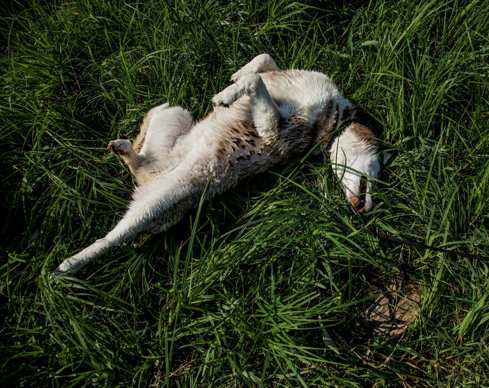 Photograph by Ирина Швец