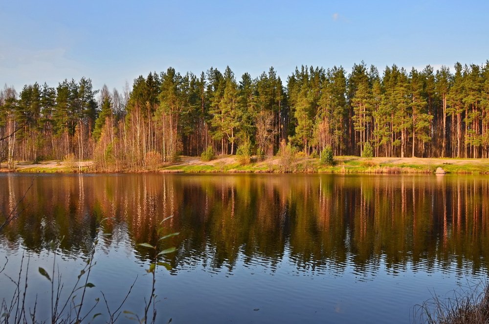 Photograph by Лидия Ушакова