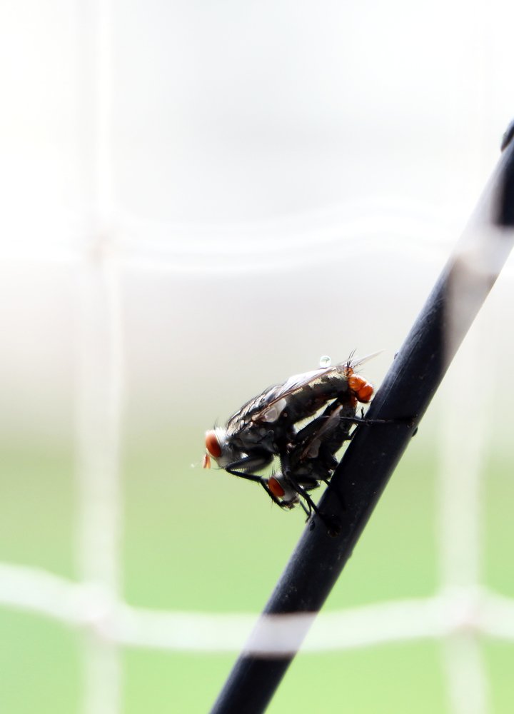 Photograph by krunal mistry