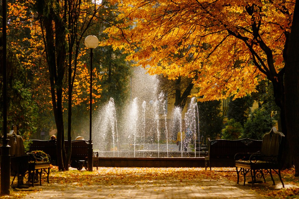 Photograph by Виктор Купреенко
