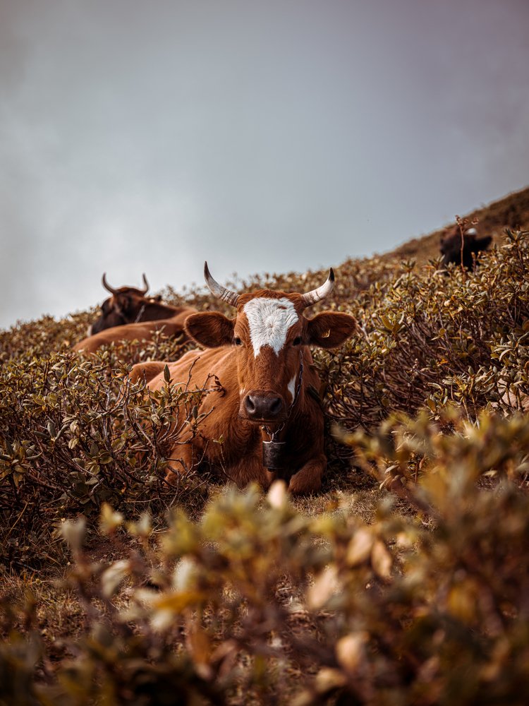 Photograph by Даниил Рождественский