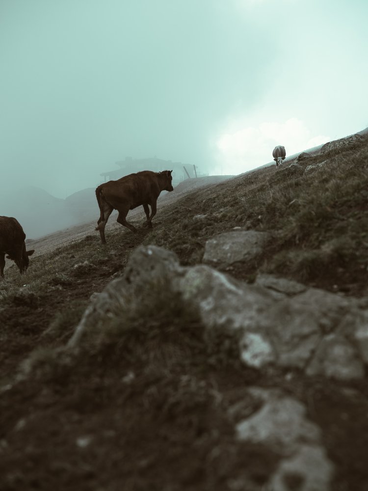 Photograph by Даниил Рождественский