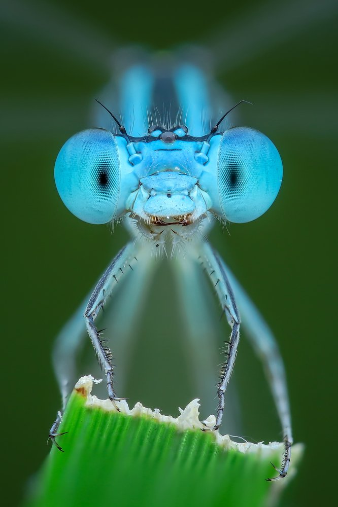 Photograph by Ngọc Trần