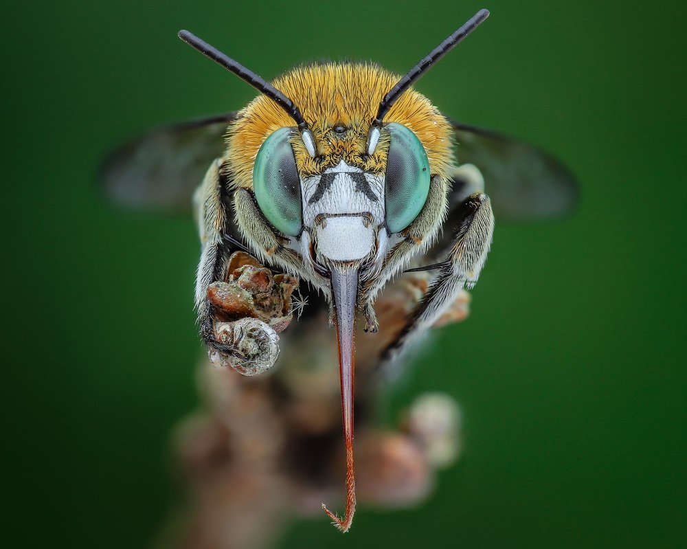 Photograph by Ngọc Trần