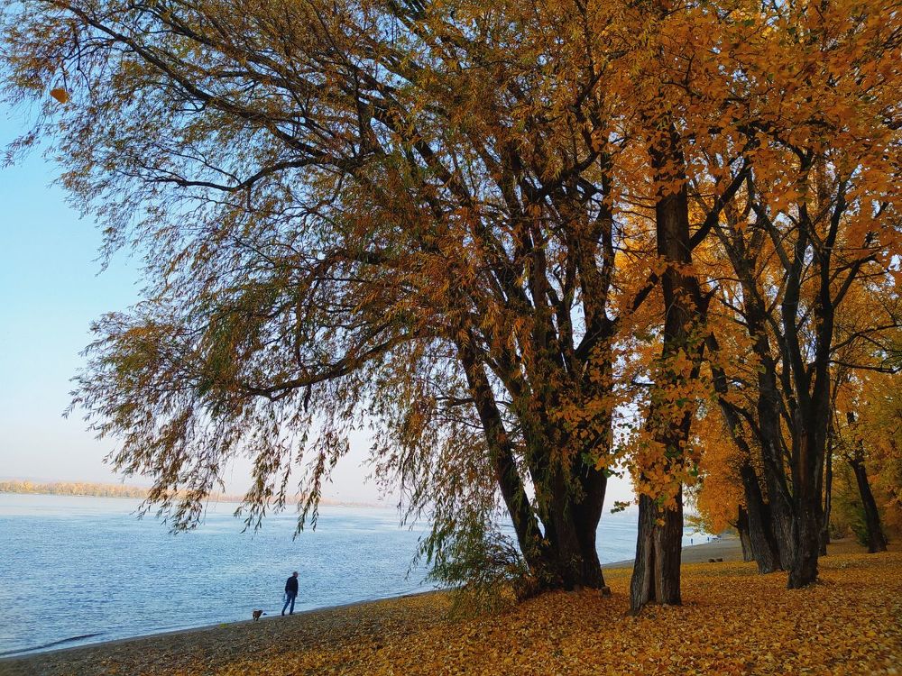 Photograph by Alla Fedina