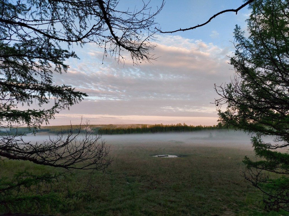 вечерняя зоря в тайге