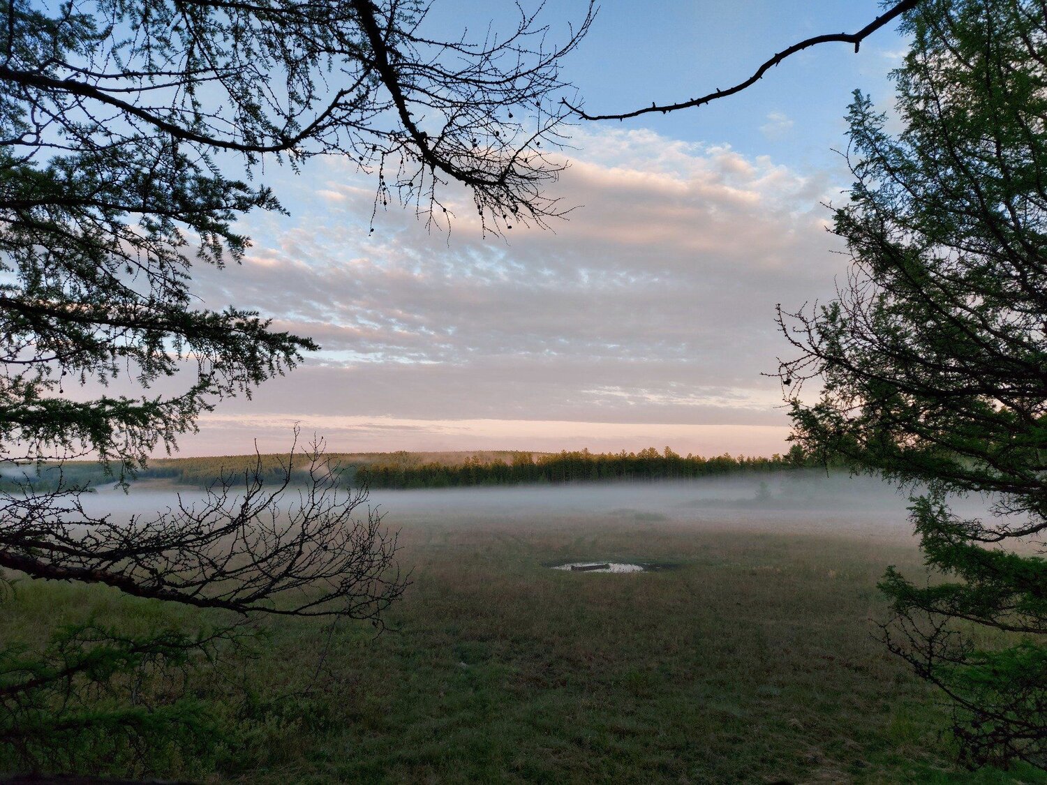 вечерняя зоря в тайге