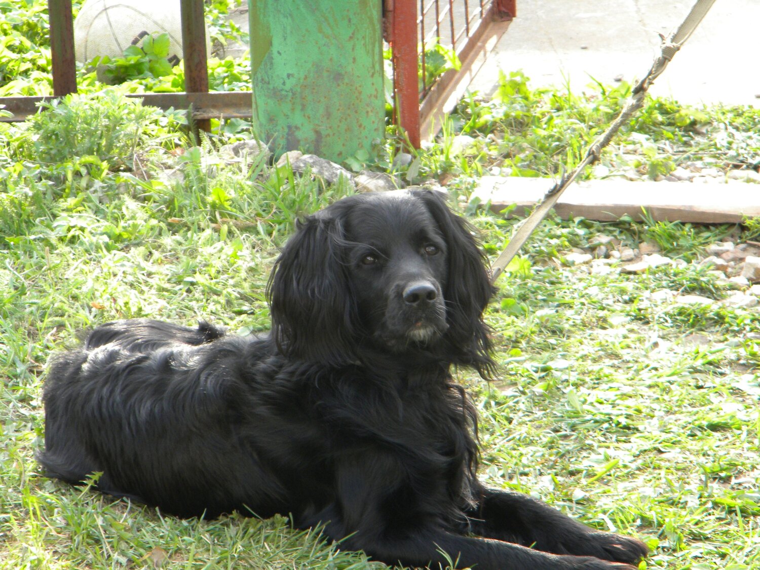 Photo #5265903