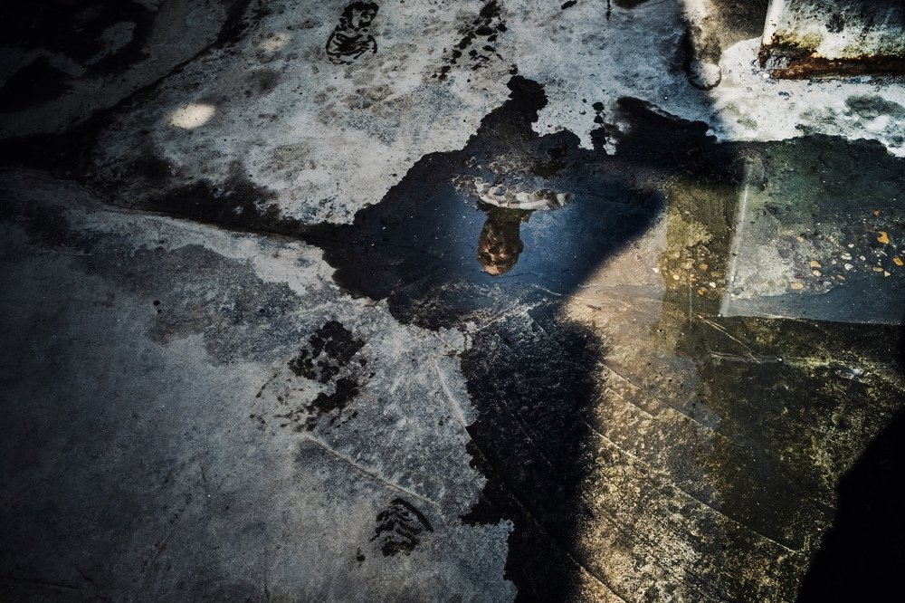 Photograph by Mukhald Alkureshe