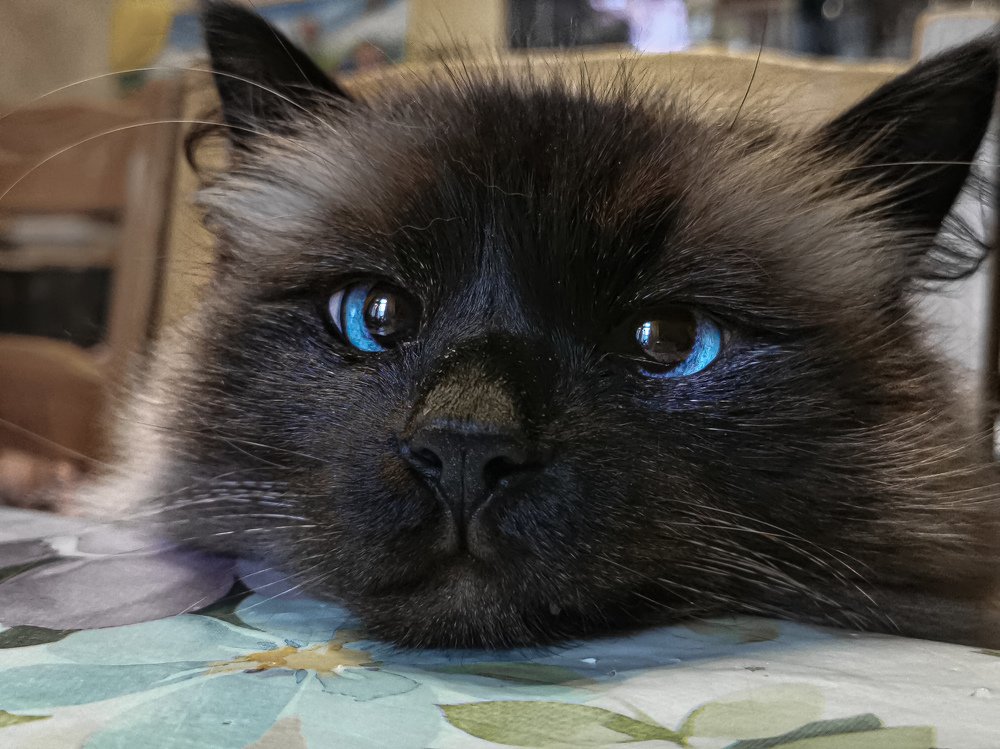 Photograph by Ольга Воронова