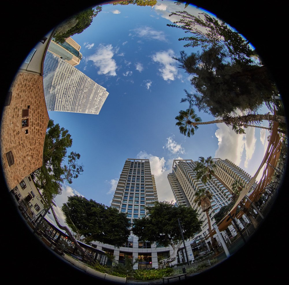 Photograph by Ralph Immerman