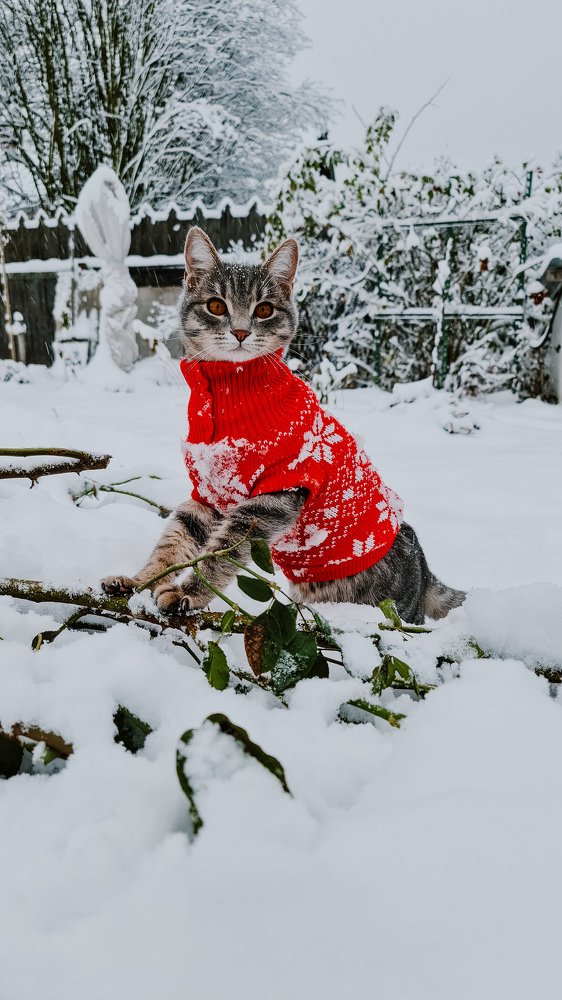 Photograph by Екатерина Фурсова