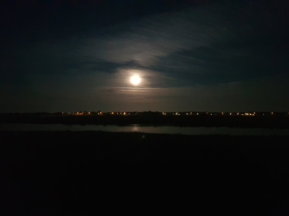 Photograph by Martin