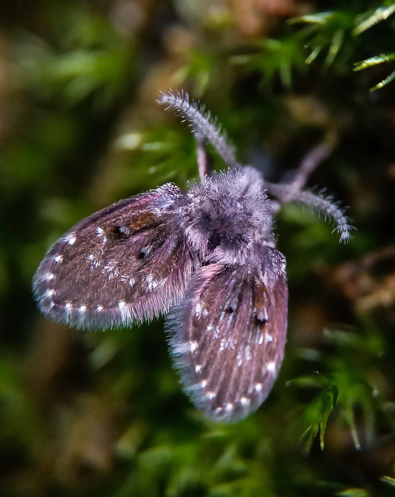 Photograph by Parvathy