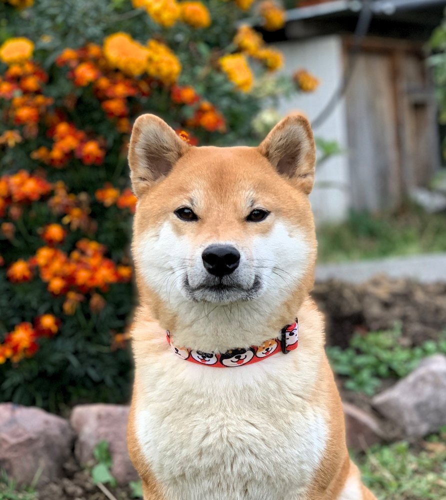 Photograph by Екатерина Фурсова