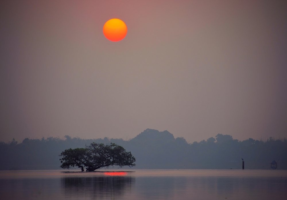 Photograph by Masum Mr