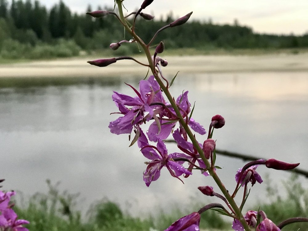 Photograph by Виталий Двоеглазов