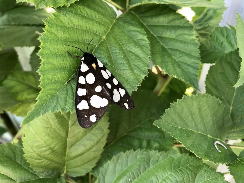 Photograph by Виталий Двоеглазов