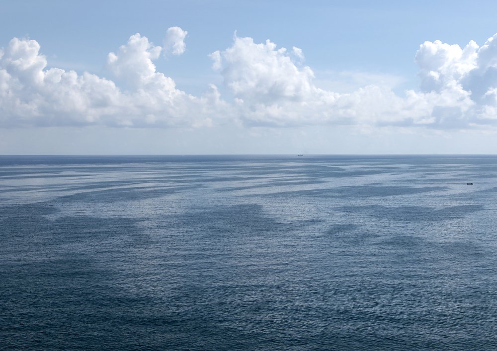 Photograph by ЗОЯ МЕДВЕДЕВА