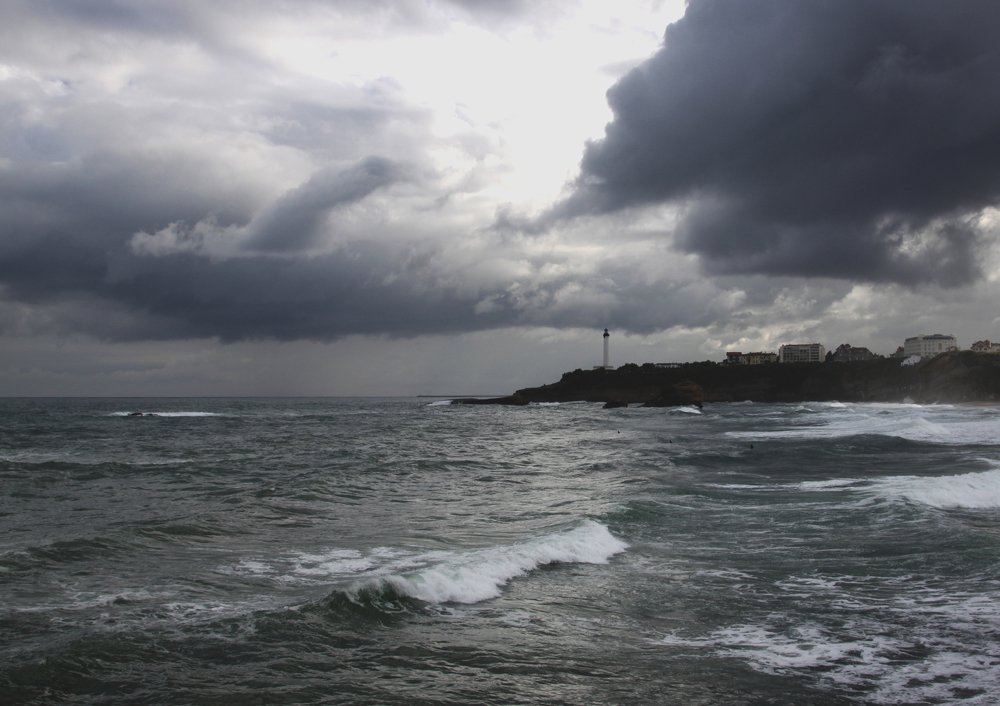 Photograph by ЗОЯ МЕДВЕДЕВА