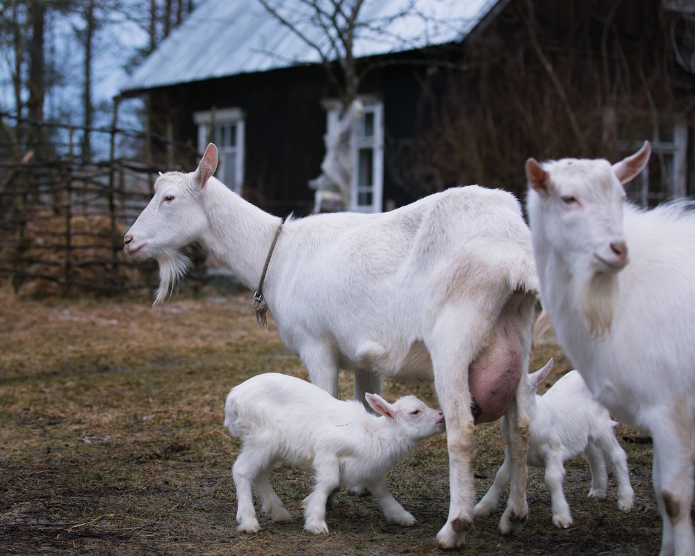 Photograph by Яна Орлова