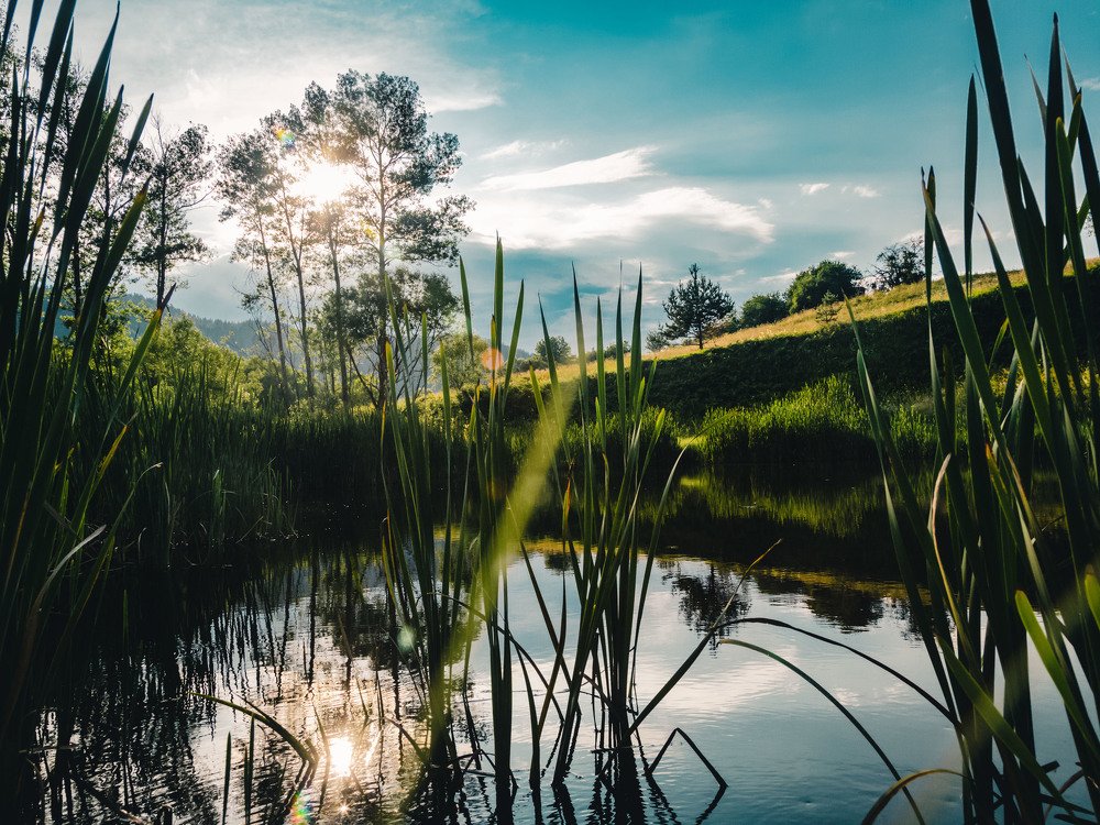 Фотография автора Ivelina Petkova