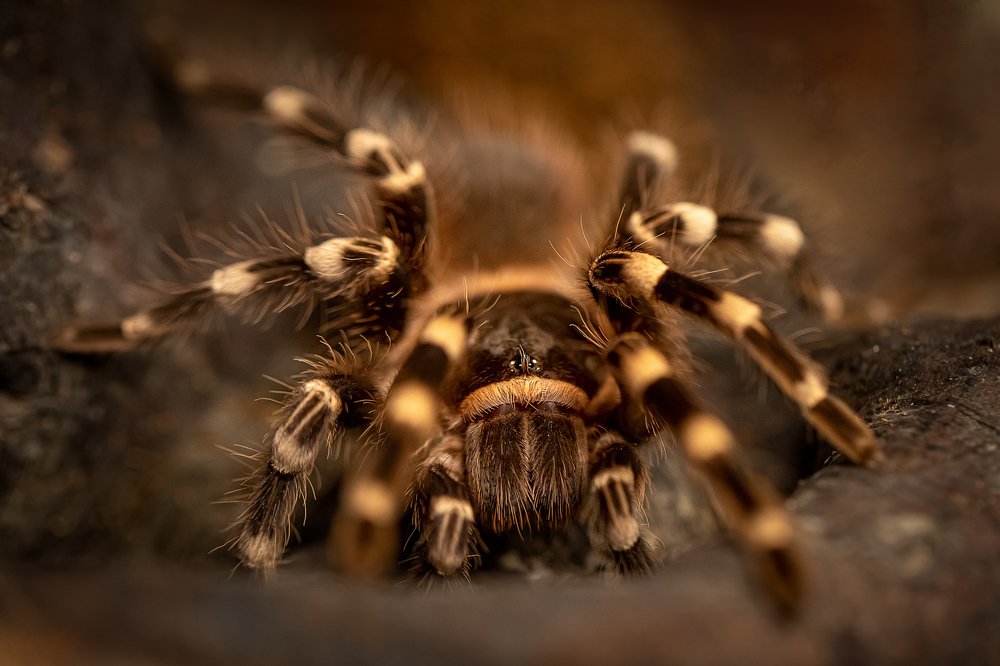 Photograph by Зоя Галимова