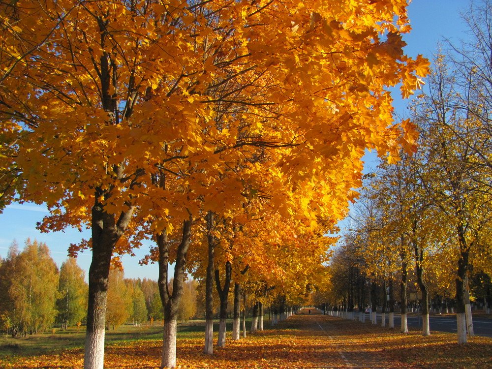 Photograph by Юлия