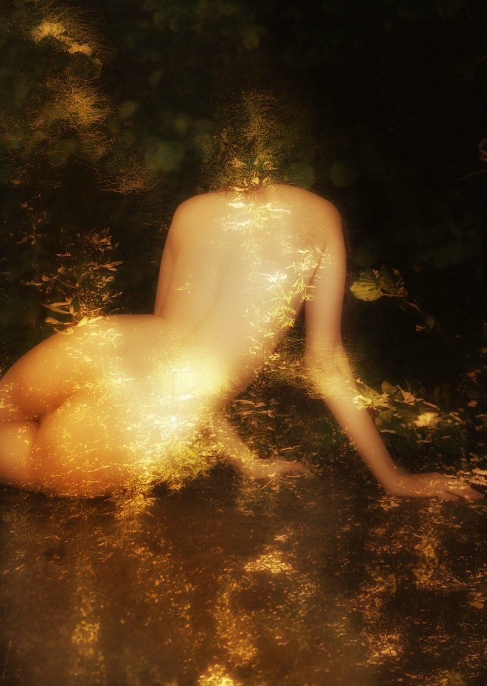 Photograph by Ольга Цибульская
