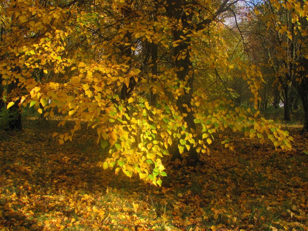 Photograph by Юлия