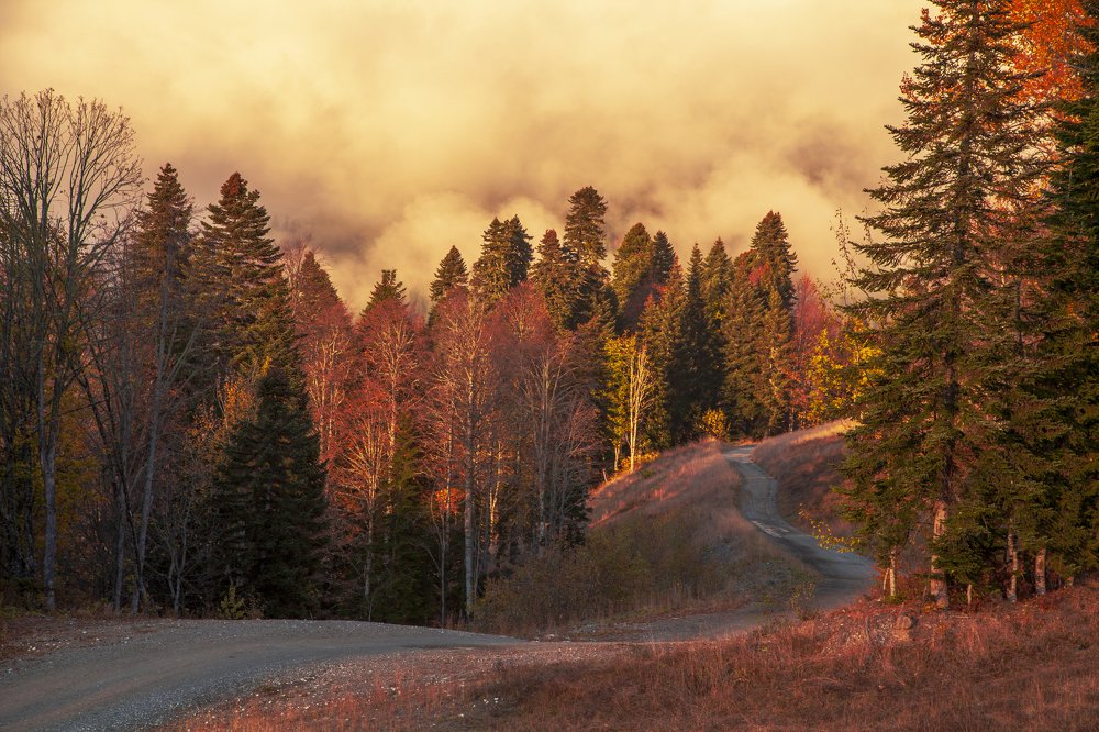 Фотография автора евгений митрошин