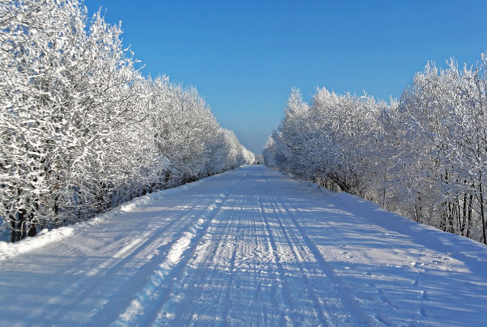 Зимняя дорога