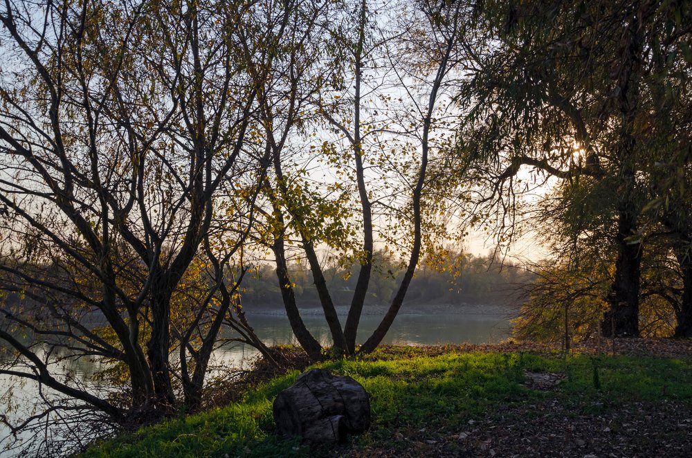 Фотография автора Алексей Рыльский