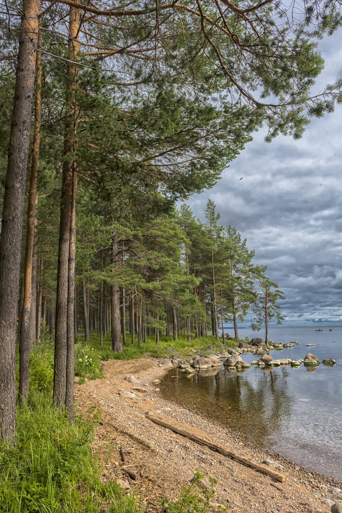 Photograph by Анна Кривицкая