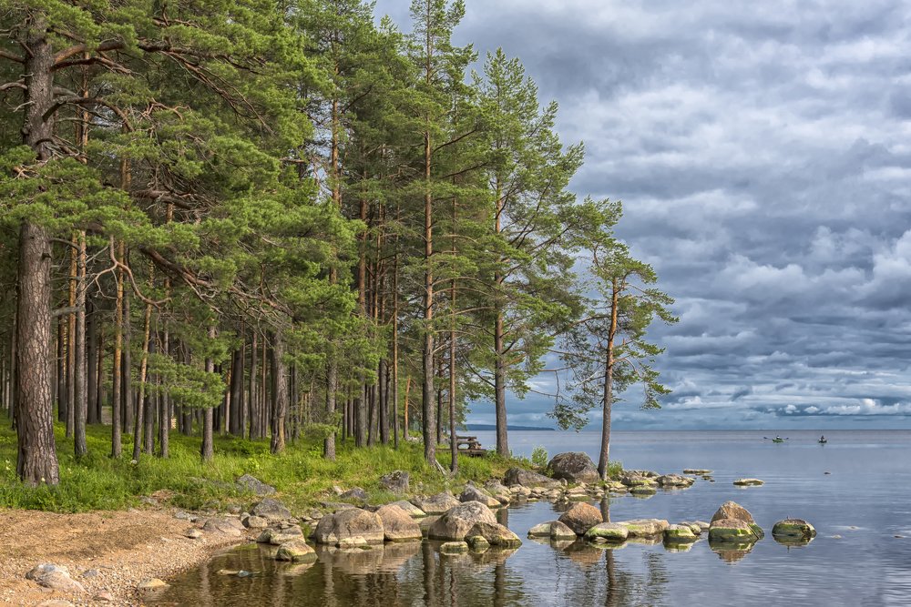 Photograph by Анна Кривицкая