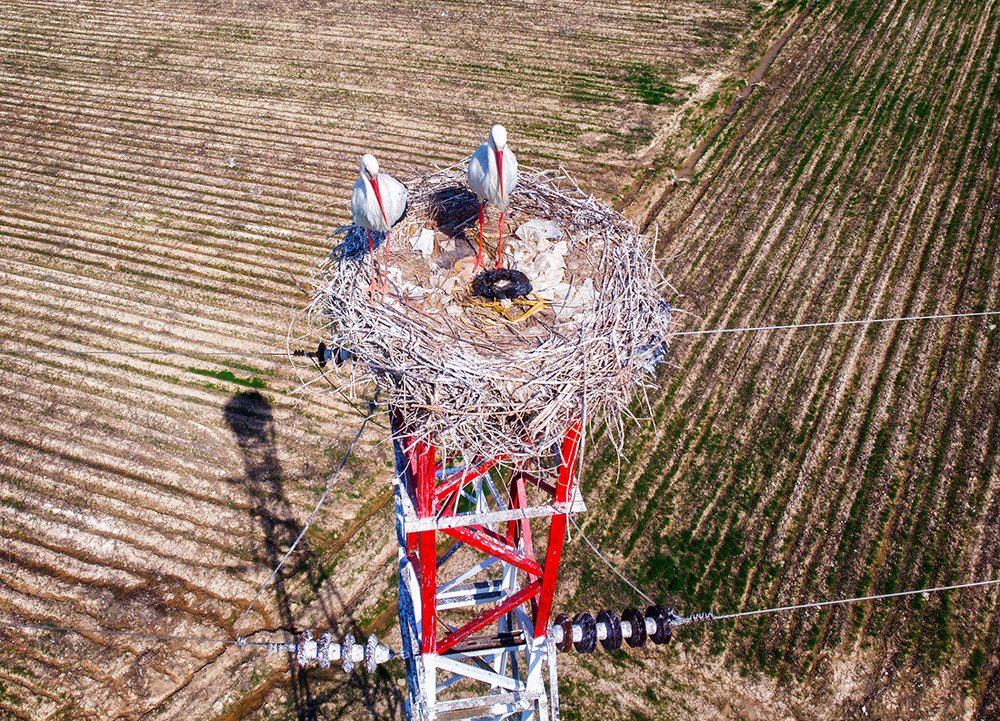 Photograph by Щипкова Елена