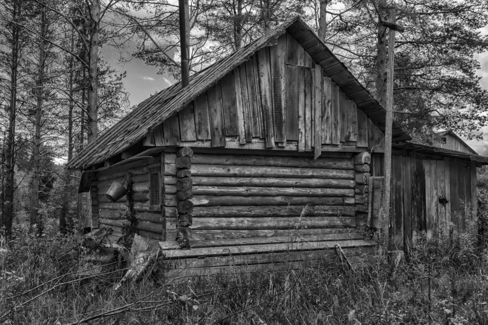 Photograph by Анна Кривицкая